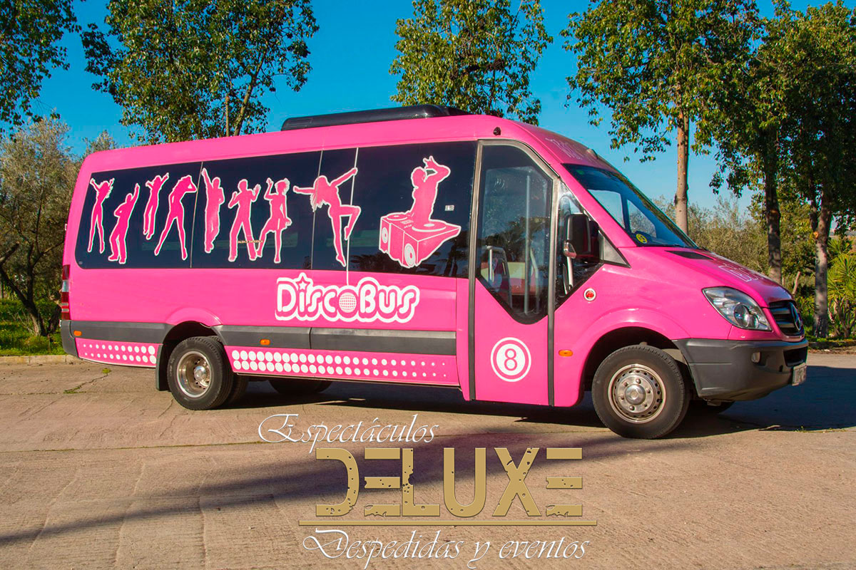 Discobus para comidas de empresa en Sevilla